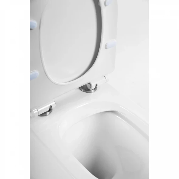 Чаша напольного безободкового унитаза BelBagno Flay-R BB2149CPR