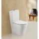 Чаша напольного безободкового унитаза BelBagno Flay-R BB2149CPR