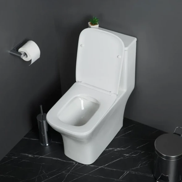 Унитаз-компакт BelBagno Neon BB8617CPR-MN/SC безободковый, с сиденьем микролифт, белый