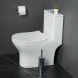 Унитаз-компакт BelBagno Lounge BB8618CPR-MN/SC безободковый, с сиденьем микролифт, белый