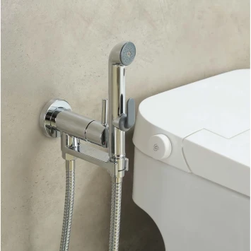 Гигиенический душ Aquatek Ника AQ1819CR со смесителем, хром