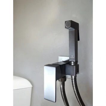Гигиенический душ AltroBagno Beni aggiuntivi AltroBagnoBM060121GM со смесителем, оружейная сталь