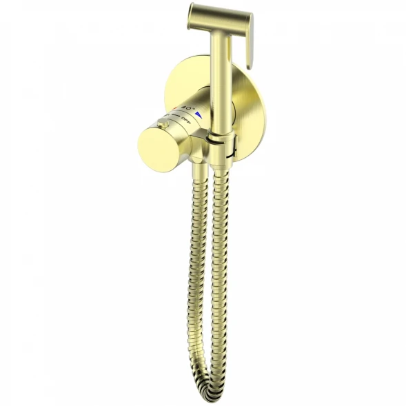Гигиенический душ AltroBagno Beni aggiuntivi AltroBagnoOggetto060403BG с термостатом, Золото матовый