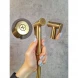 Гигиенический душ AltroBagno Beni aggiuntivi AltroBagnoOggetto060403BG с термостатом, Золото матовый