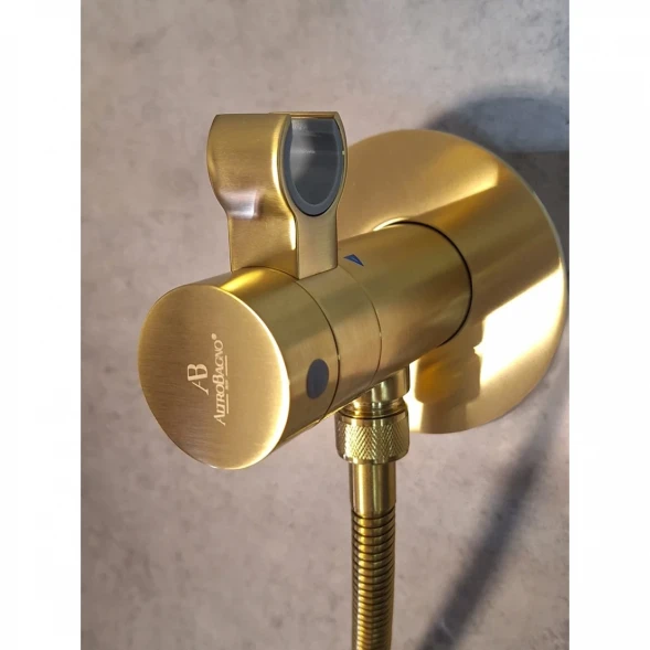 Гигиенический душ AltroBagno Beni aggiuntivi AltroBagnoOggetto060403BG с термостатом, Золото матовый
