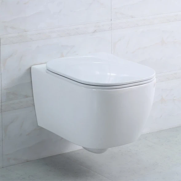 Сиденье для унитаза с микролифтом BelBagno Genova BB1102SC