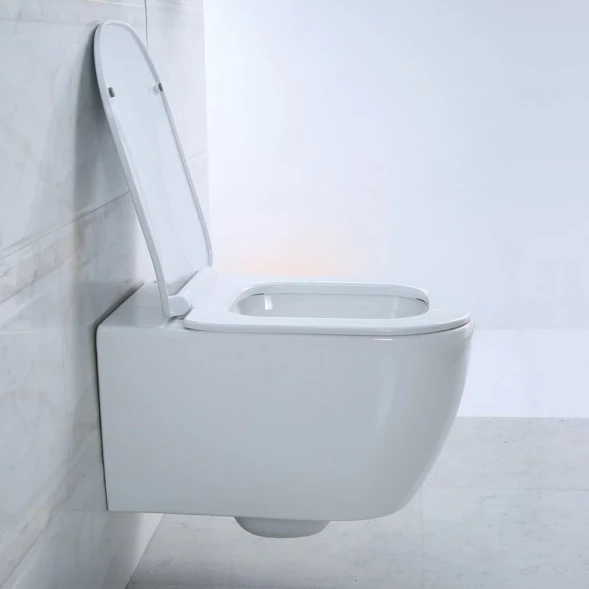 Сиденье для унитаза с микролифтом BelBagno Genova BB1102SC