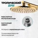 Душевой комплект Grocenberg GB5090GL 200 мм, со смесителем, золотой брашированный