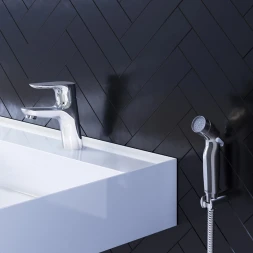Смеситель для раковины с гигиеническим душем Damixa Jupiter 770300001