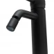 Смеситель для биде Allen Brau Priority 5.31A04-31 с донным клапаном, черный матовый