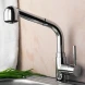 Смеситель для кухни с выдвижной лейкой WasserKRAFT Main 4166