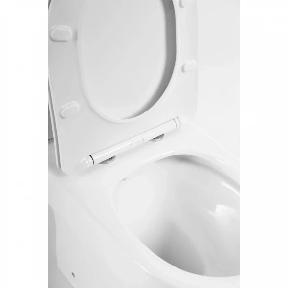 Чаша напольного безободкового унитаза BelBagno Norma BB339CPR
