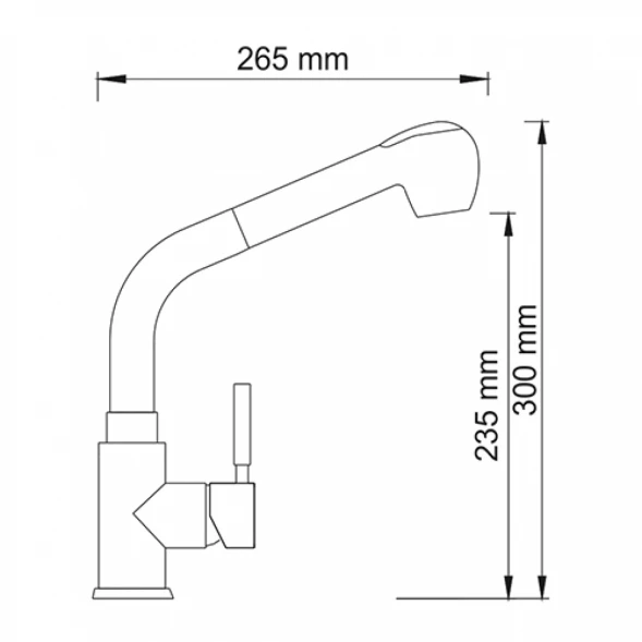 Смеситель для кухни с выдвижной лейкой WasserKRAFT Wern 4266