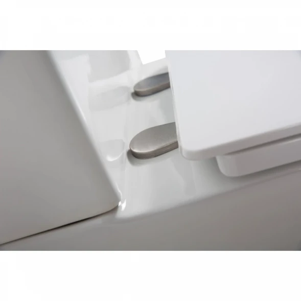 Чаша напольного безободкового унитаза BelBagno Lounge BB045CPR
