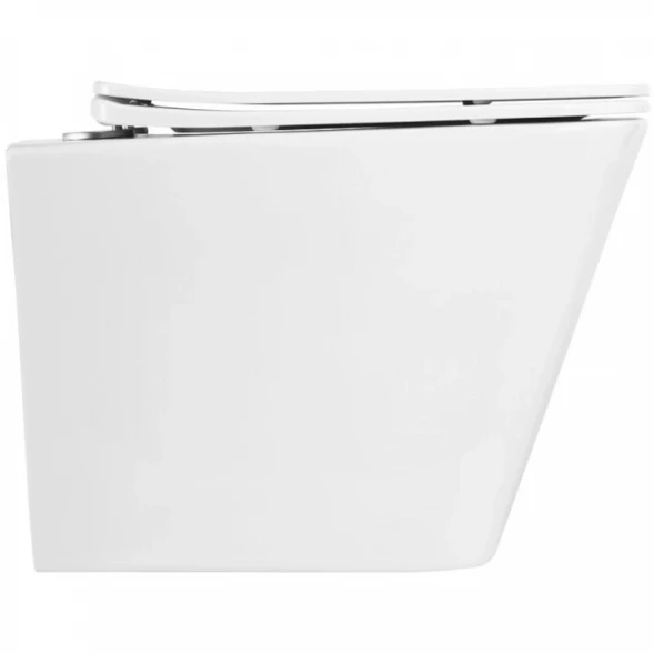 Сиденье для унитаза с микролифтом BelBagno Due BB3103/3106SC