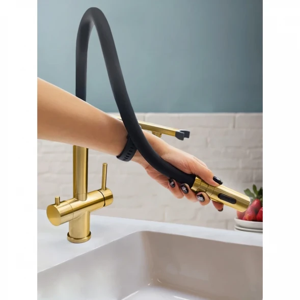 Смеситель для кухни AltroBagno Flusso AltroBagnoFlusso050202BG с подключением к фильтру, гибким изливом, Золото матовый