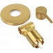Смеситель для душа Emmevi Filobrass 85009/ORS встраиваемый, Золото матовый