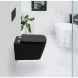 Сиденье для унитаза с микролифтом BelBagno Ardente-C BB3202SC-MB