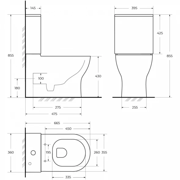 Чаша напольного безободкового унитаза BelBagno Sfera-R BB2141CP-TOR