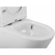 Чаша напольного безободкового унитаза BelBagno Flay-R BB2149CP-TOR