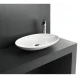 Раковина чаша 60x42 см Artceram La Fontana LFL0010100