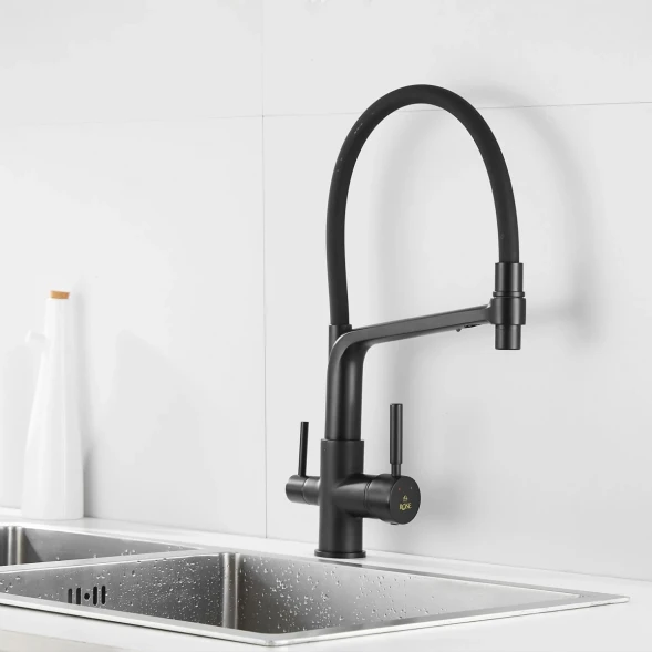 Смеситель для кухни с подключением к фильтру Rose R658H