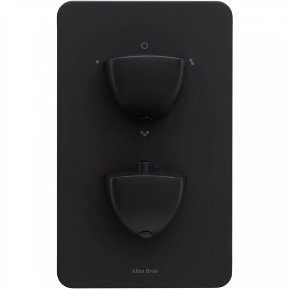 Термостат для ванны Allen Brau Infinity 5.21316-31 встраиваемый, черный матовый