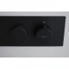 Термостат для ванны Allen Brau Liberty 5.33003-31 встраиваемый, черный матовый
