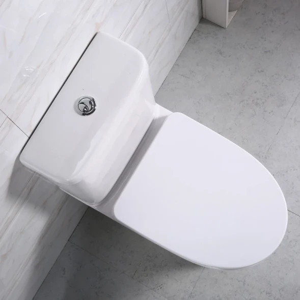 Чаша напольного безободкового унитаза BelBagno Steam BB130CPR