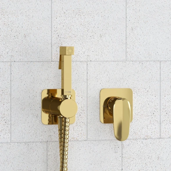 Гигиенический душ WasserKRAFT Neckar A2151.280.238.216 со смесителем, Золото
