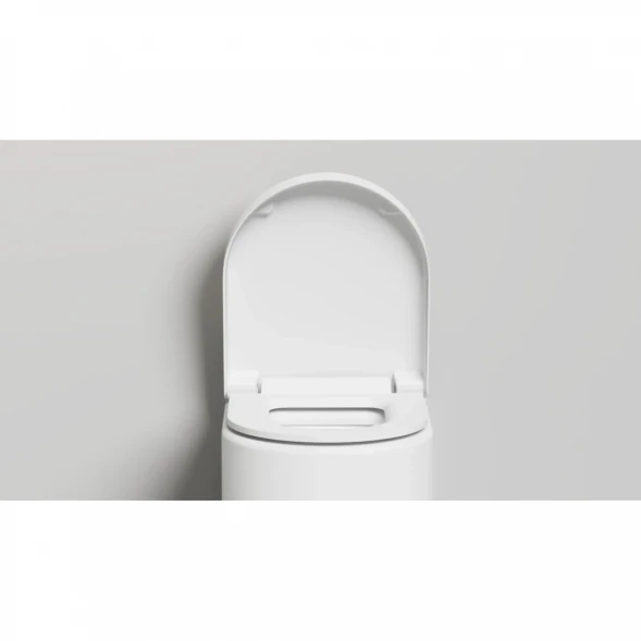 Унитаз подвесной Salini S-Stone Gemelli 240121KSM безободковый, с сиденьем микролифт, белый матовый